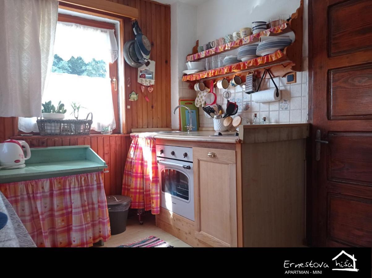 Apartment Ernestova Hisa Lokve Zewnętrze zdjęcie